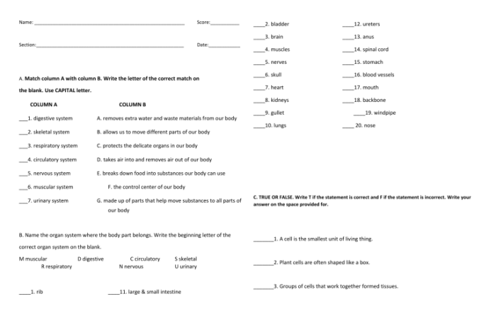 Microscopes and cells lab answers