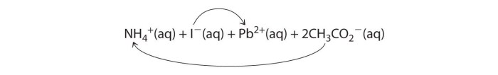 Reaction write homeworklib occurs precipitation