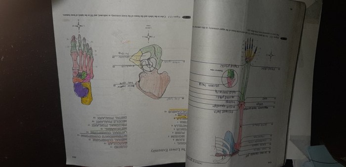 Biology laboratory manual 13th edition pdf