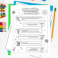 Can you spot the scientific method worksheet