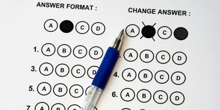 Clets level 3 test answers