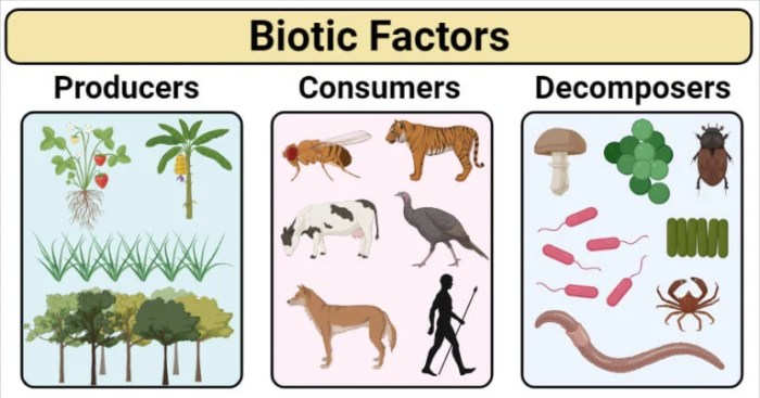 Factors limiting abiotic biotic ecosystems aquatic factor influence population science example limit which schoolworkhelper populations affect space water other food