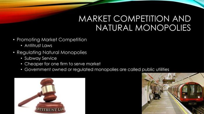 Competition bulletin promoting july andrea cma ceo