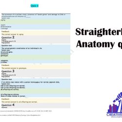 Straighterline anatomy and physiology 1 final exam