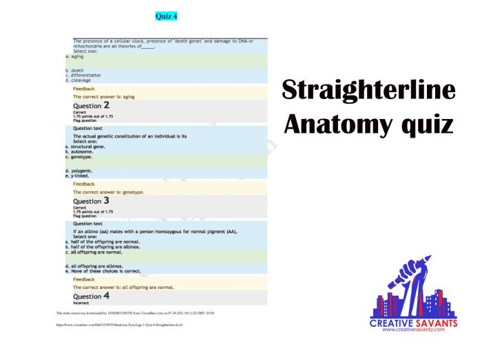 Straighterline anatomy and physiology 1 final exam