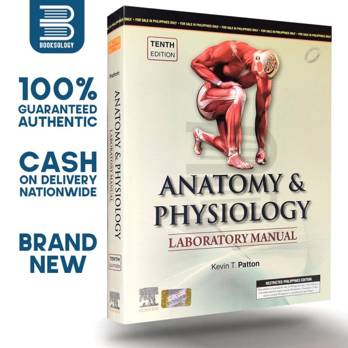 Anatomy and physiology lab manual 11th edition