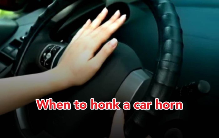 You should only use your car horn for emergencies