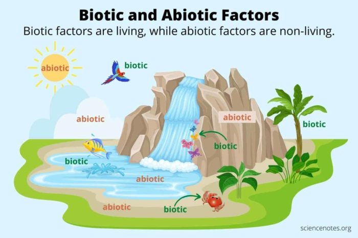 How do bicarbonates influence biotic factors