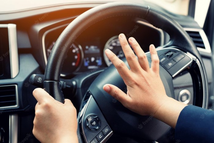 You should only use your car horn for emergencies